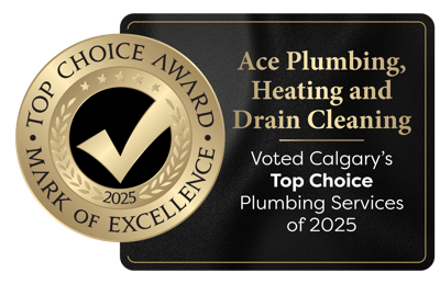 Top Choice 2025